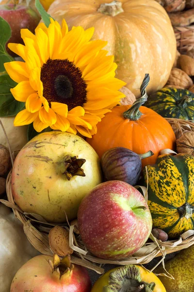 Autumn abundance — Stock Photo, Image